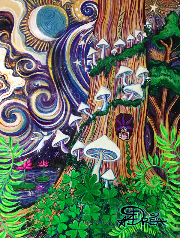 Enchanted Forest With Glowing Mushrooms