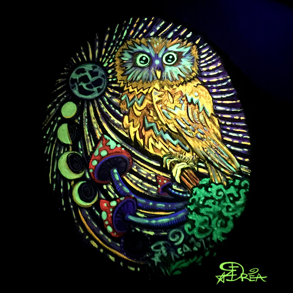 Saw-Whet Owl UV