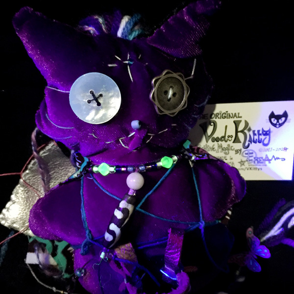 Voodoo Kitty close up