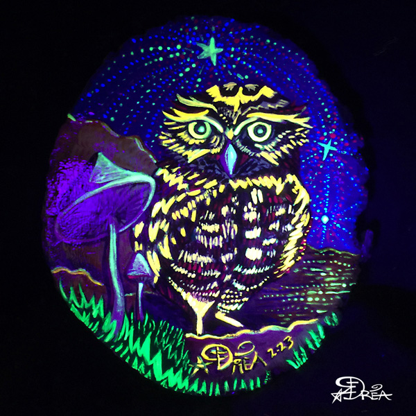 Burrowing Owl UV
