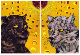 Black Leopard and Snow Leopard Under the Solar Eclipse